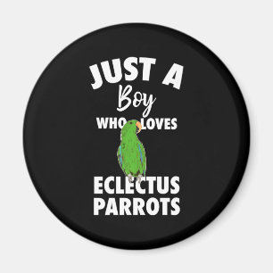 Imã Só Uma Menina Que Ama O Papagaio Eclectus