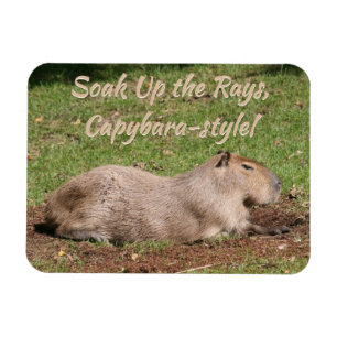 Ímã Soak Up the Rays, estilo Capybara!