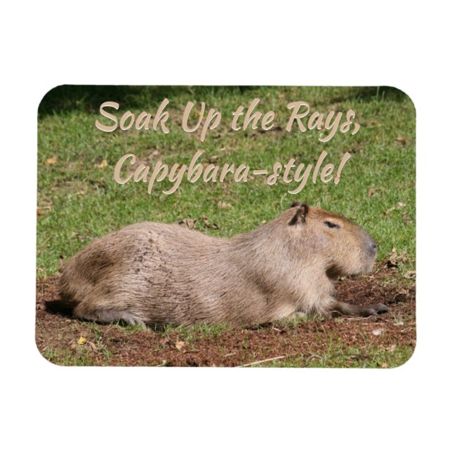 Ímã Soak Up the Rays, estilo Capybara! (Horizontal)