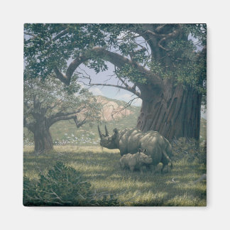 Imã Sob A Árvore Baobab