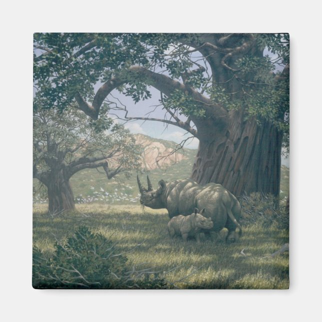 Imã Sob A Árvore Baobab (Frente)