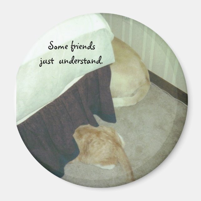 Imã Sob a Cama (Frente)