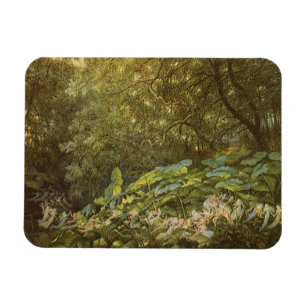 Ímã Sob as Folhas da Doca por Richard Doyle, Arte das 