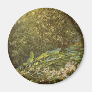Imã Sob as Folhas da Docagem por Richard Doyle, Arte d
