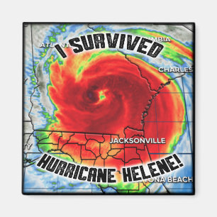 Imã Sobrevivi ao furacão Helene