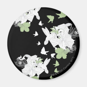 Imã Sobrinhos e Penas