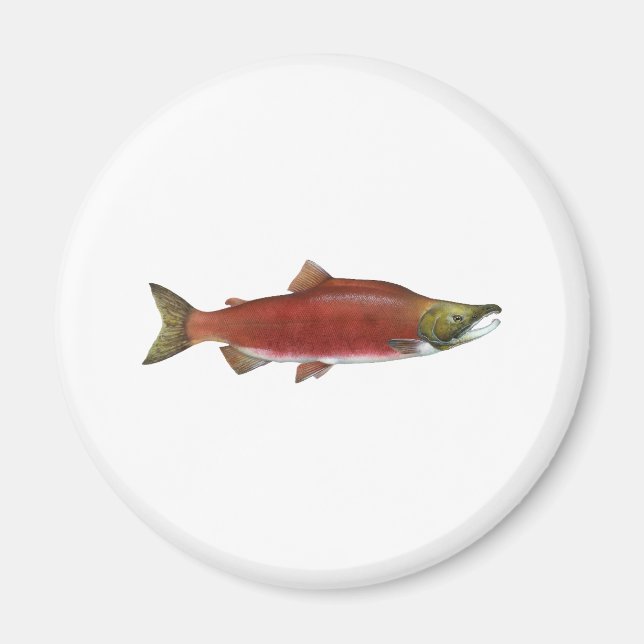 Imã Sockeye Salmon (Frente)