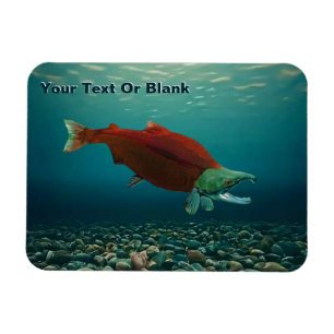Ímã Sockeye Salmon