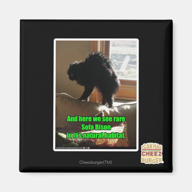 Imã Sofa Bison (Frente)