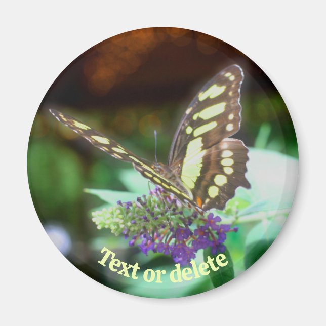 Imã Soft Butterfly On Flower Nature Personalized (Frente)