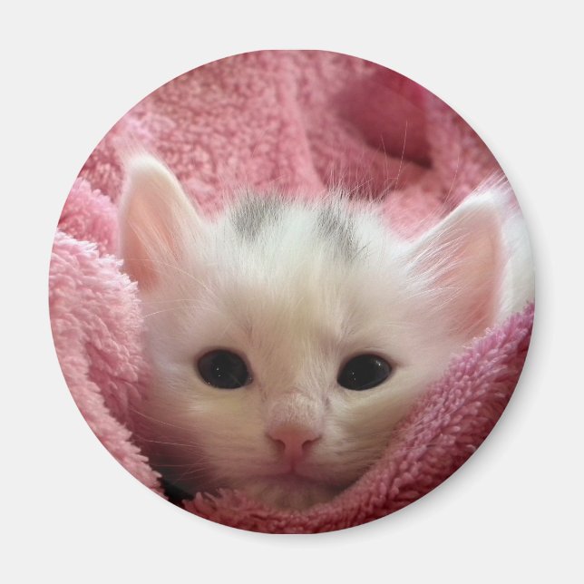 Imã Soft Kitten (Frente)