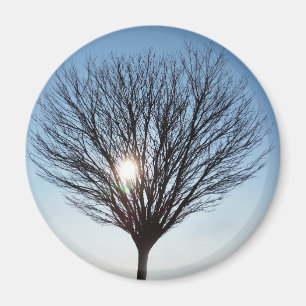 Imã Sol de inverno