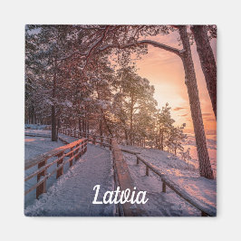 Imã Sol de inverno na floresta pinheira perto do ímã m