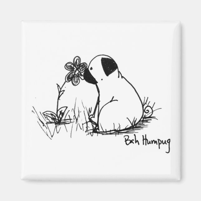 Imã Sol e Flores (Frente)