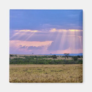 Imã Sol se pondo no Masai Mara.
