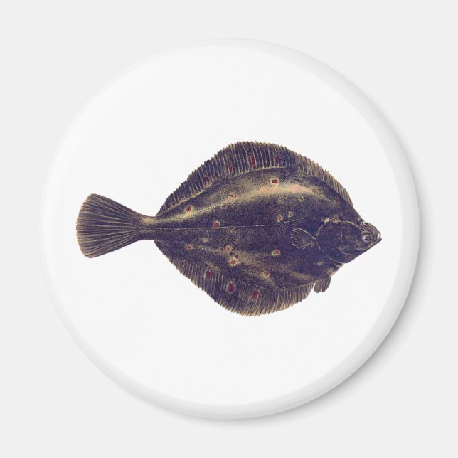 Imã Solha europeia (Frente)