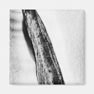 Imã solitário frio de duro longo