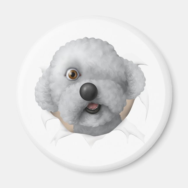 Imã solomon chestburster (Frente)