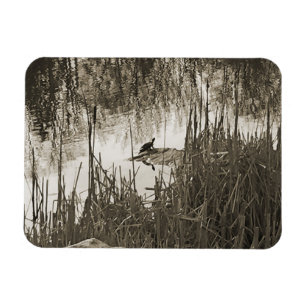 Ímã Solstício de inverno