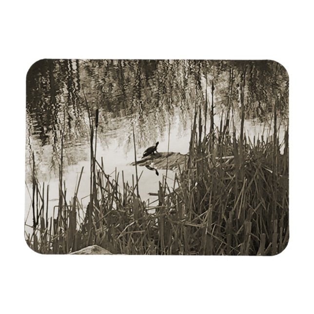 Ímã Solstício de inverno (Horizontal)