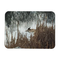 Solstício de inverno