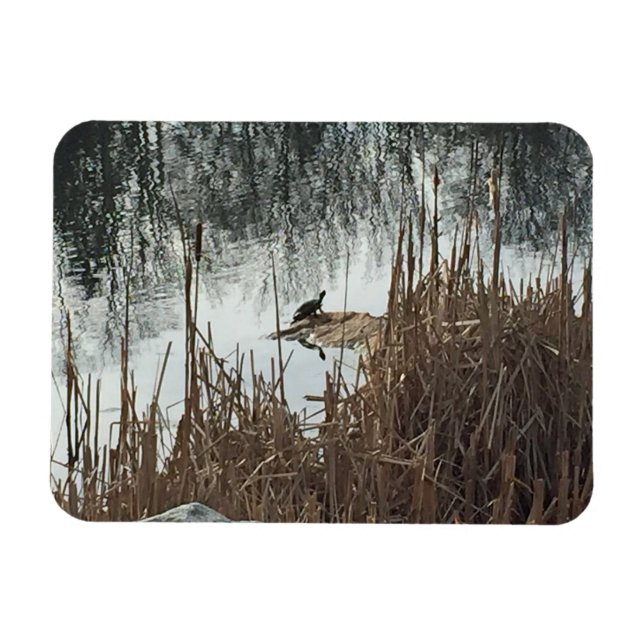 Ímã Solstício de inverno (Horizontal)