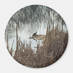 Imã Solstício de Inverno