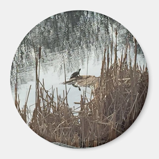 Imã Solstício de Inverno (Frente)