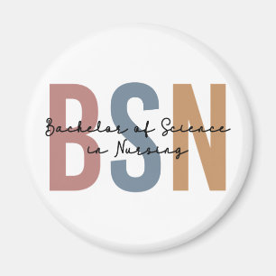 Imã Solteiro de Ciência do BSN na Graduação de Enferma