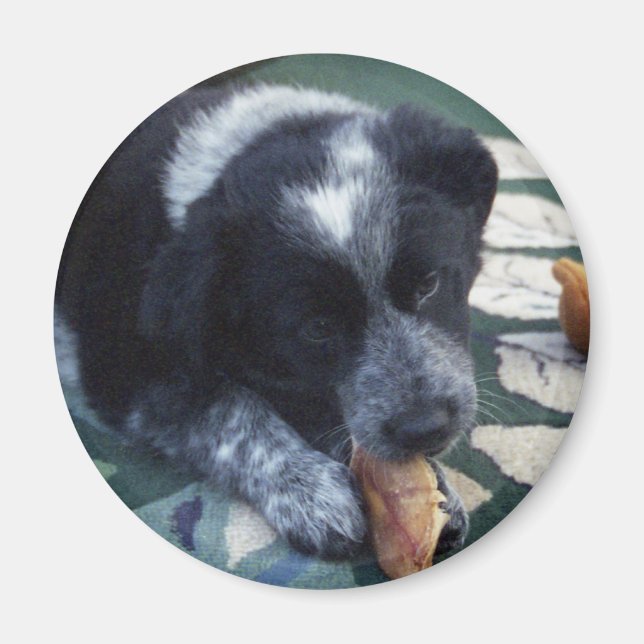 Imã Sombra (Frente)