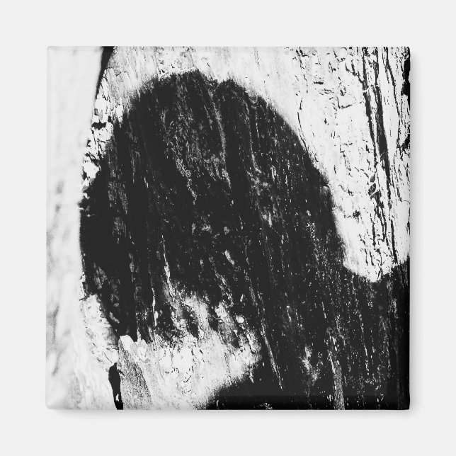 Imã sombra adolescente (Frente)