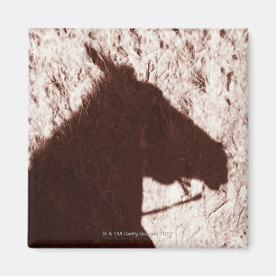 Imã sombra da cabeça de cavalo da equitação no jasp