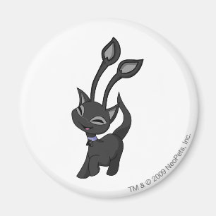 Imã Sombra de Aisha