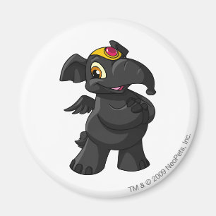 Imã Sombra de Elephante