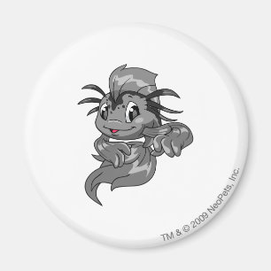 Imã Sombra de Koi