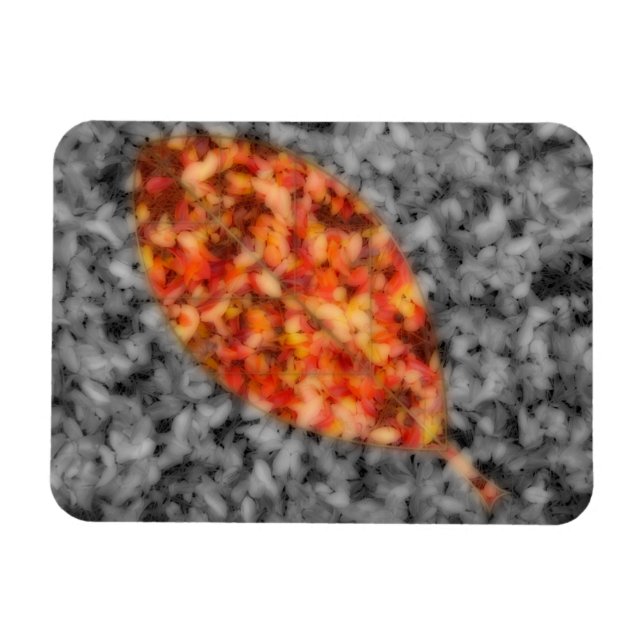 Ímã Sombras Brilhantes, Magneta Flexível (Horizontal)