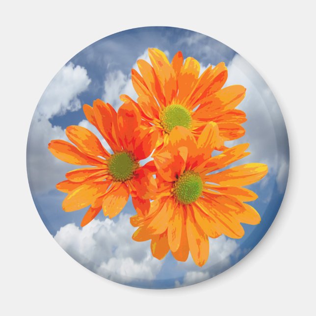 Imã Somente 3 Gerbera Daisy Blossoms + seu texto e sua (Frente)