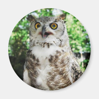 IMÃ " SOMENTE " O MAGNET OWL