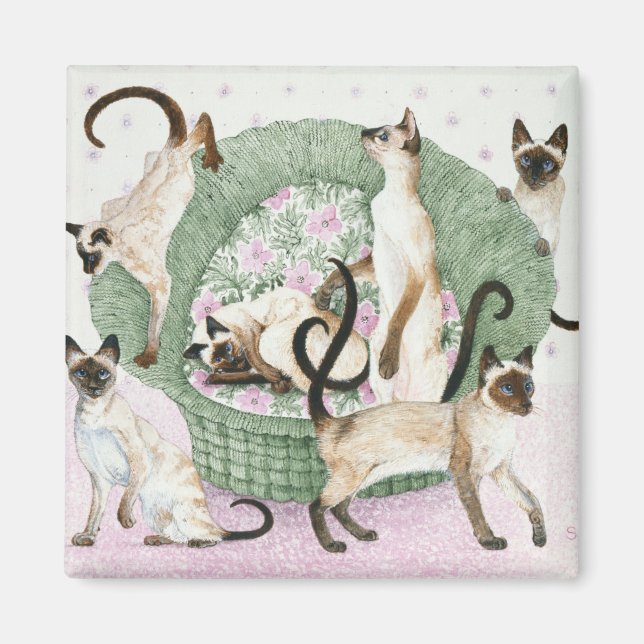 Imã Somos siameses, por favor (Frente)