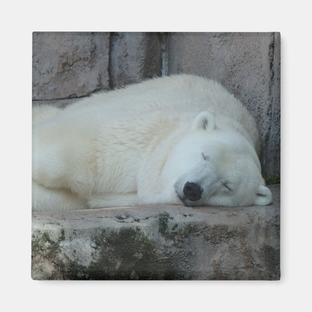 Imã Sonho com Icebergs (Frente)