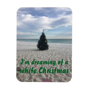 Ímã Sonho do feriado de Florida da praia do White
