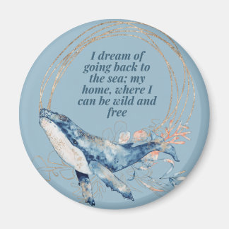 Imã Sonho em voltar ao mar