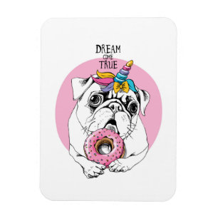 Ímã Sonho torna-se realidade