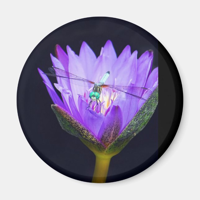 Imã Sonia WIld (Frente)