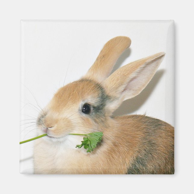 Imã Sorria quando você come isso (Frente)