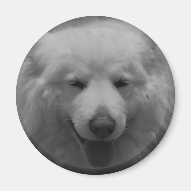 Imã Sorriso charmoso (Frente)