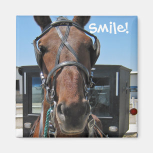 Imã Sorriso de Amish; o)