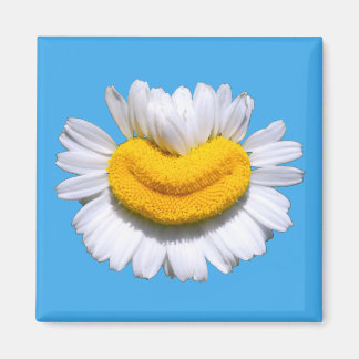 Imã Sorriso Radiante de Camomila Feliz