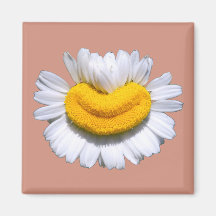 Sorriso Radiante de Camomila Feliz