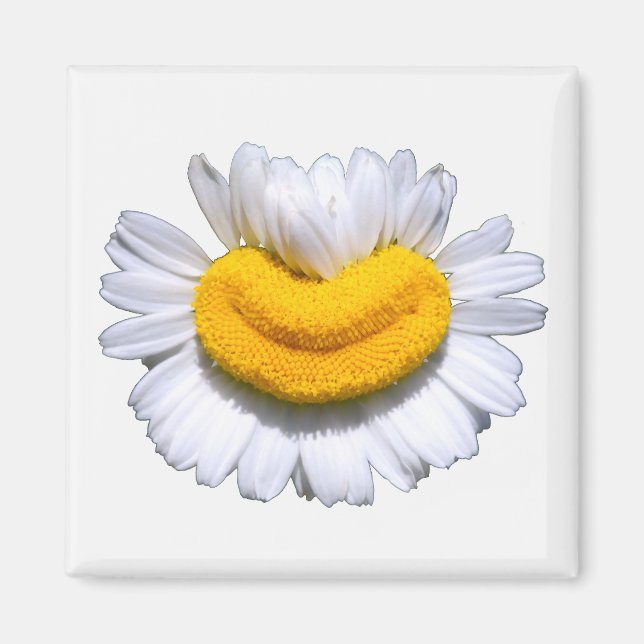 Imã Sorriso Radiante de Camomila Feliz  (Frente)